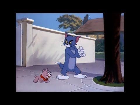 Tom and Jerry 76 Episode Thats My Pup 1953 YouTube