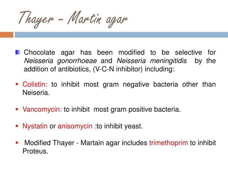 Thayer-Martin agar PPT Thayer Martin agar PowerPoint Presentation ID554606