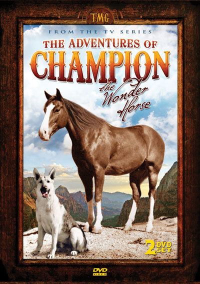 The Adventures of Champion (TV series) The Adventures of Champion DVD news Announcement for The Adventures