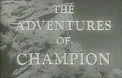 The Adventures of Champion (TV series) The Adventures of Champion TV series Wikipedia