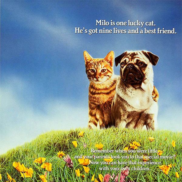 The Adventures of Milo and Otis Nostalgia Trip Dogster Remembers The Adventures of Milo and Otis