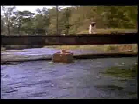 The Adventures of Milo and Otis The Adventure of Milo and Otis Trailer 1986 YouTube