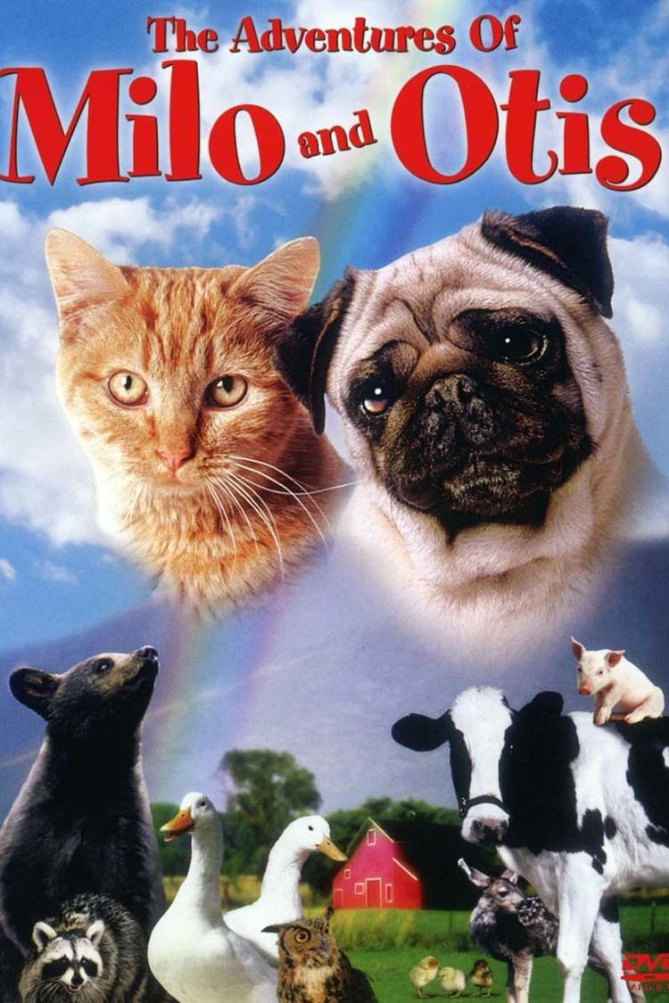 The Adventures of Milo and Otis wwwgstaticcomtvthumbdvdboxart11814p11814d