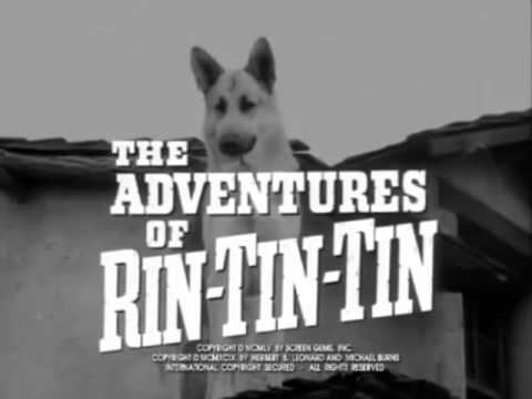 The Adventures of Rin Tin Tin The Adventures of Rin Tin Tin 1954 1959 Opening and Closing Theme