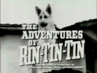 The Adventures of Rin Tin Tin The Official 6039s SiteThe Adventures of Rin Tin Tin