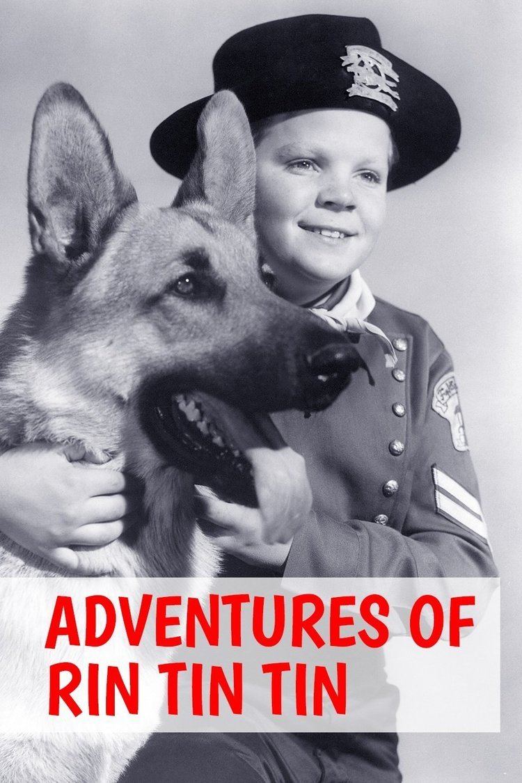 The Adventures of Rin Tin Tin wwwgstaticcomtvthumbtvbanners325117p325117
