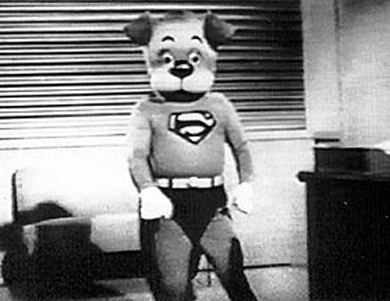 The Adventures of Superpup The Adventures of Superpup Video still from TV pilot See Flickr