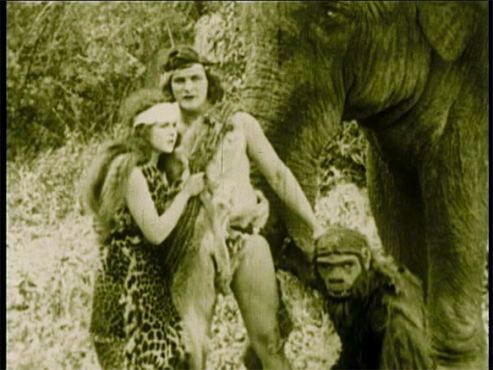 The Adventures of Tarzan Silent Era Home Video Reviews