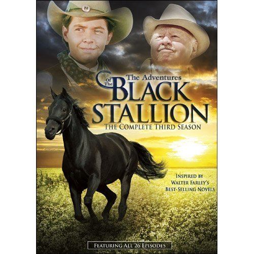 The Adventures of the Black Stallion Amazoncom The Adventures of the Black Stallion Season 3 Mickey