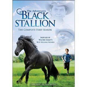The Adventures of the Black Stallion 1000 images about The black stallion on Pinterest Seasons TVs