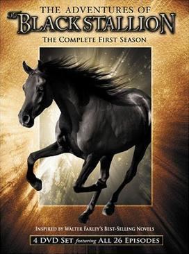 The Adventures of the Black Stallion The Adventures of the Black Stallion Wikipedia