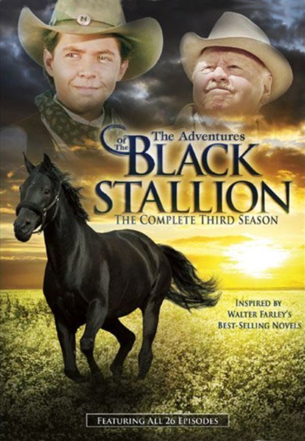 The Adventures of the Black Stallion Watch Season 3 The Adventures of the Black Stallion