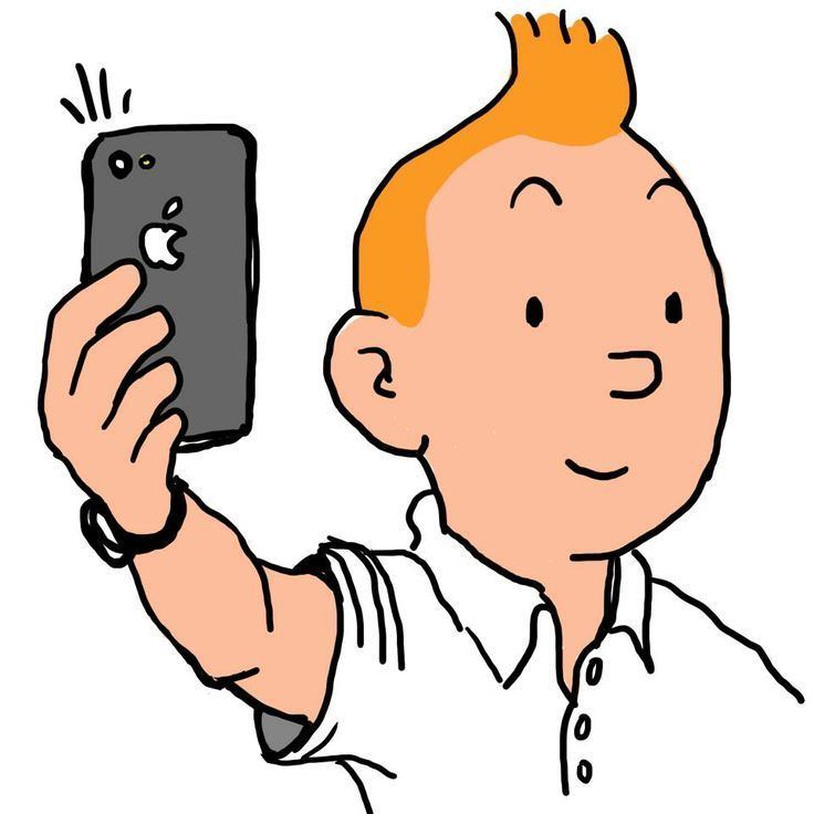 The Adventures of Tintin 1000 ideas about Tintin on Pinterest Grafic novel Illustrations