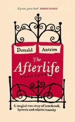 The Afterlife: A Memoir t3gstaticcomimagesqtbnANd9GcQgOr0S2Gma6G7yew