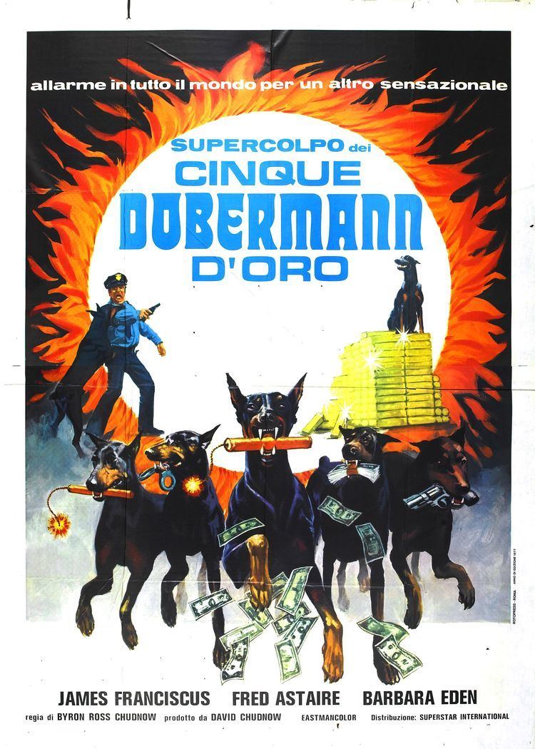 The Amazing Dobermans Poster for The Amazing Dobermans aka Lucky 1976 USA Wrong