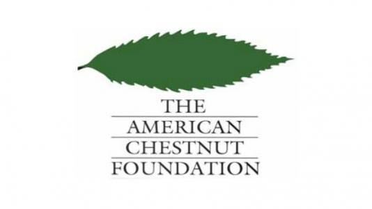 The American Chestnut Foundation httpssmithceedsfileswordpresscom201204607