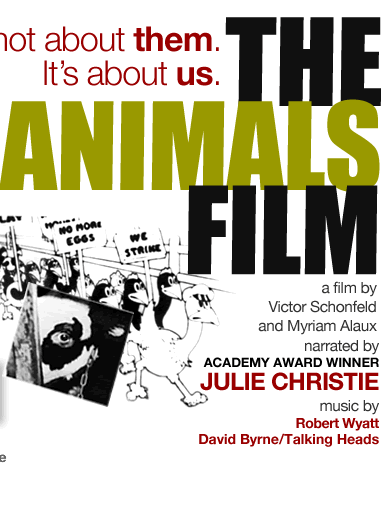 The Animals Film The Animals Film