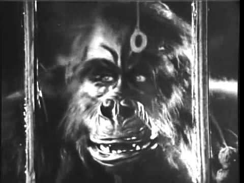 The Ape (1940 film) The Ape 1940 Clip YouTube