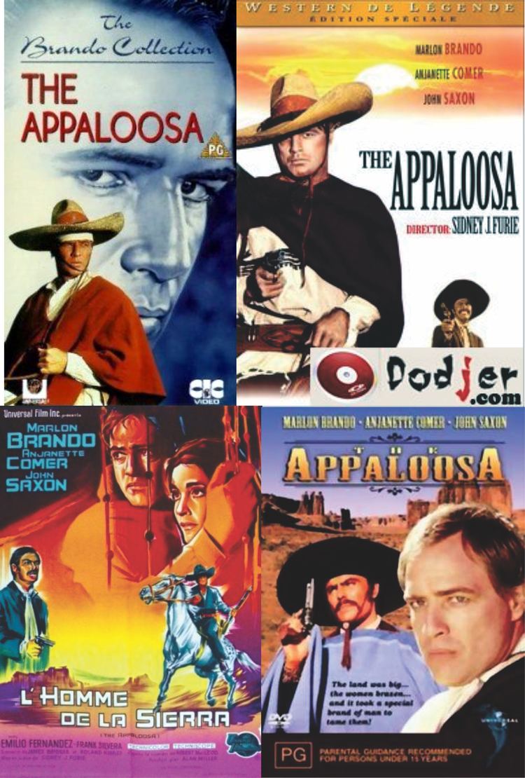 The Appaloosa The Appaloosa 1966 My Favorite Westerns