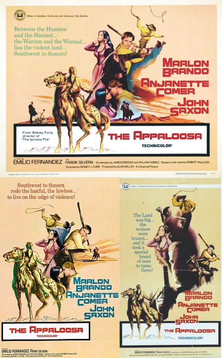 The Appaloosa The Appaloosa 1966 My Favorite Westerns