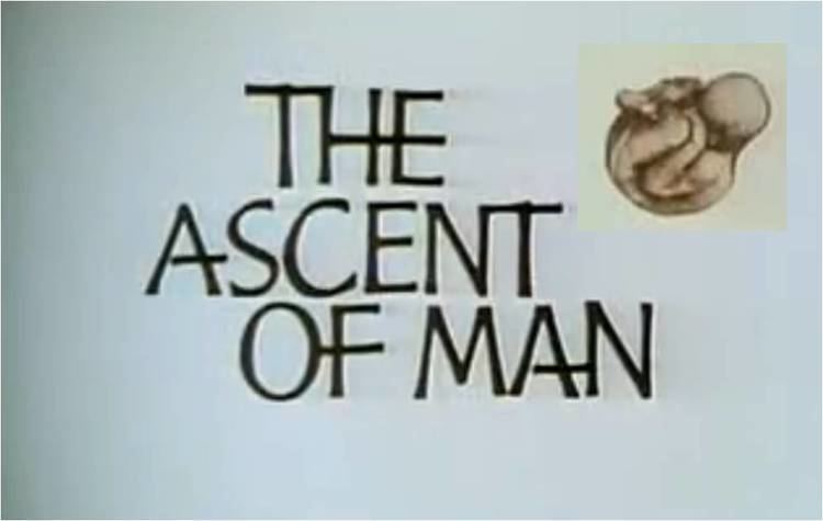The Ascent of Man Books and Films The Ascent of Man BBC documentary presented by
