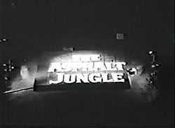 The Asphalt Jungle (TV series) httpsuploadwikimediaorgwikipediaenthumb1