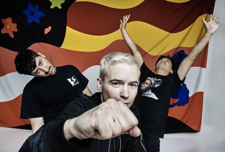 The Avalanches The Avalanches return with their second album Wildflower to be