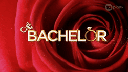 The Bachelor AU.png