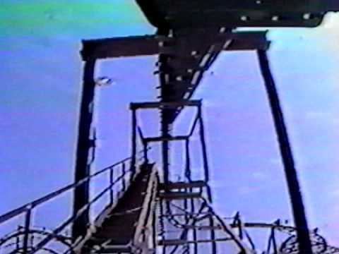 The Bat (Kings Island; opened 1981) httpsiytimgcomviSgOWKFyp8Ahqdefaultjpg