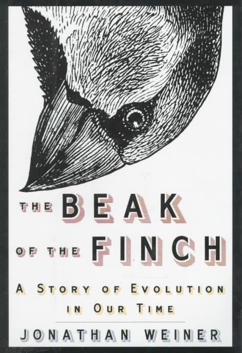The Beak of the Finch t0gstaticcomimagesqtbnANd9GcTC21MA88DUz7IzZ1
