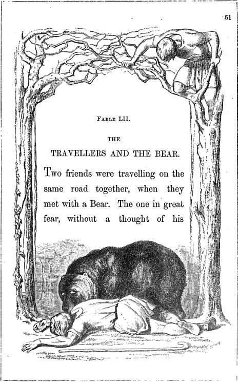 The Bear and the Travelers