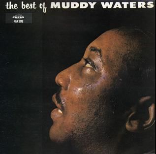 The Best of Muddy Waters httpsuploadwikimediaorgwikipediaen551Bes