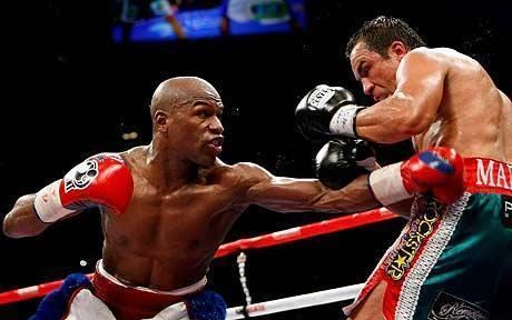 The Best Professional boxer Ever FLOYD MAYWEATHER The Best Professional boxer Ever FLOYD MAYWEATHER