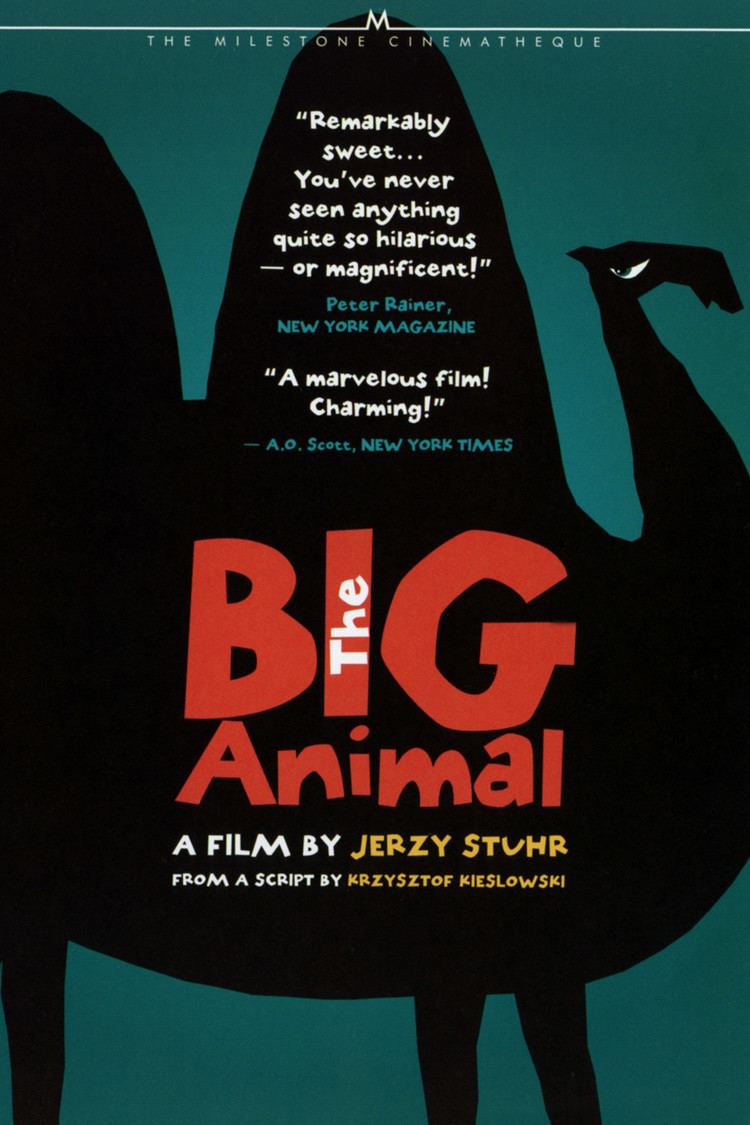 The Big Animal wwwgstaticcomtvthumbdvdboxart72589p72589d