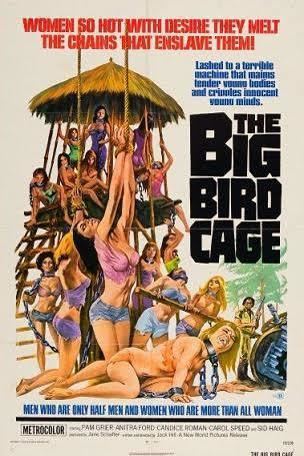 The Big Bird Cage t1gstaticcomimagesqtbnANd9GcTiaSUuQtG5zm1CxS