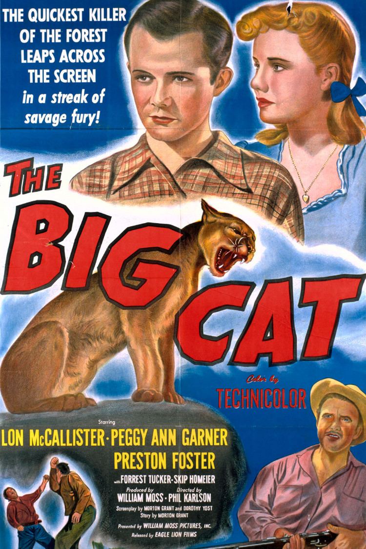 The Big Cat (film) wwwgstaticcomtvthumbmovieposters38857p38857