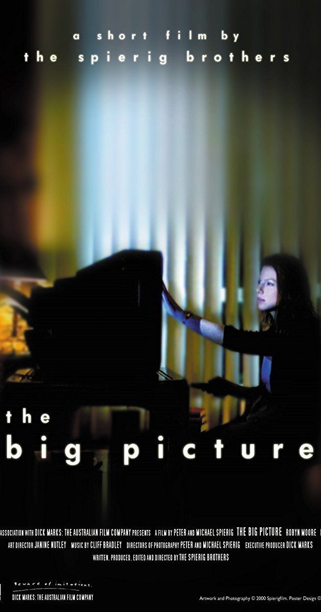The Big Picture (2000 film) The Big Picture 2000 IMDb