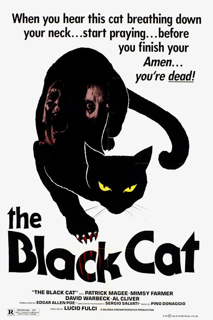 The Black Cat (1981 film) wwwgstaticcomtvthumbmovieposters45829p45829