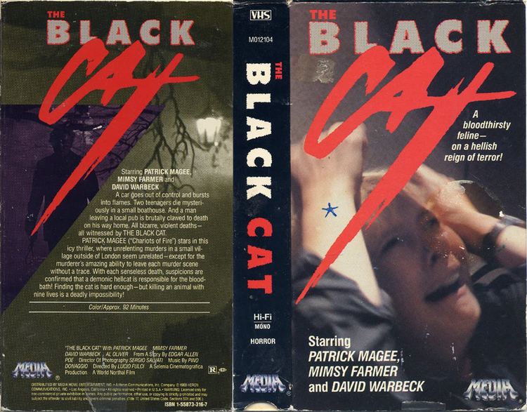 The Black Cat (1981 film) The Black Cat Italy 1981 HORRORPEDIA