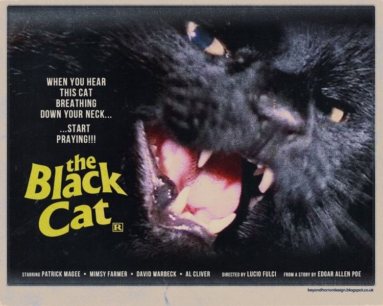 The Black Cat (1981 film) The Black Cat AKA Gatto Nero 1981 dir Lucio Fulci Below The Radar
