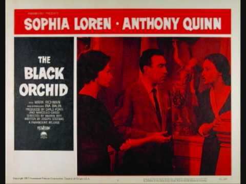 The Black Orchid (film) The Black Orchid film Alchetron the free social encyclopedia
