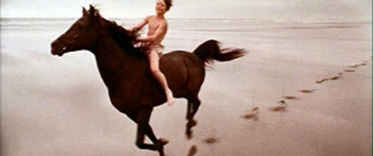 The Black Stallion (film) The Black Stallion Movie Review 1979 Roger Ebert