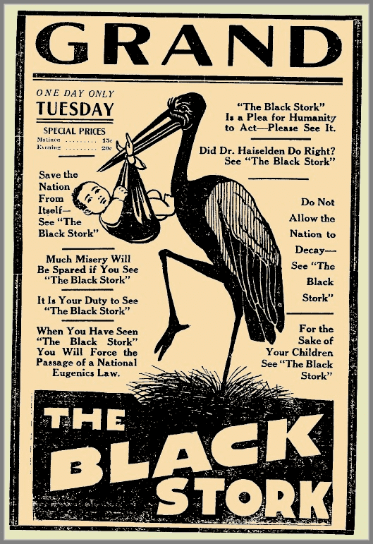 The Black Stork Good Death Good Birth Good Grief Meet MythAmerica