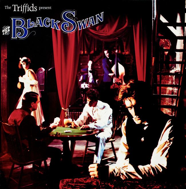 The Black Swan (The Triffids album) thetriffidscompresswpcontentuploads201204T