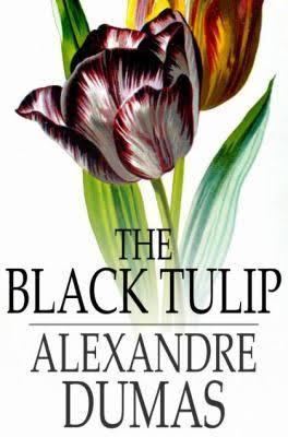 The Black Tulip t1gstaticcomimagesqtbnANd9GcSDsHbpiyIbwpkHn6
