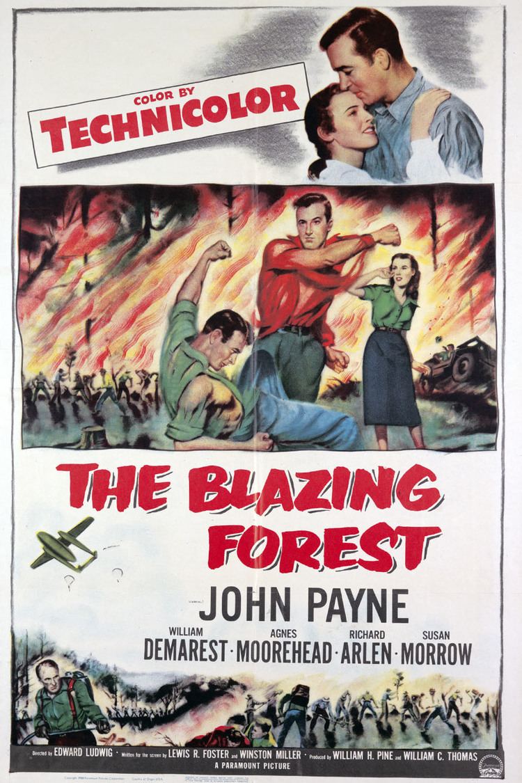 The Blazing Forest wwwgstaticcomtvthumbmovieposters38917p38917