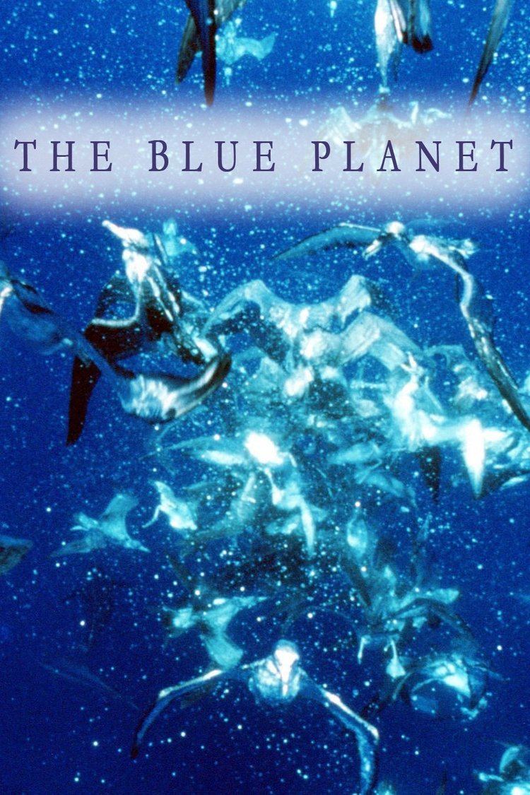 The Blue Planet wwwgstaticcomtvthumbtvbanners9045168p904516