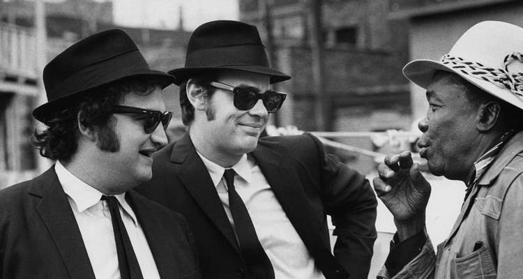 The Blues Brothers The Blues Brothers Oscarsorg Academy of Motion Picture Arts and