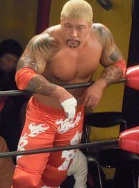 The Bodyguard (wrestler) httpsuploadwikimediaorgwikipediacommonsthu