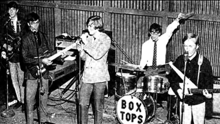 The Box Tops The Box Tops Soul Deep 1969 YouTube